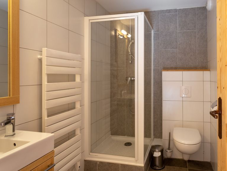 Chalet-apartment Les Portes du Grand Massif Chalet