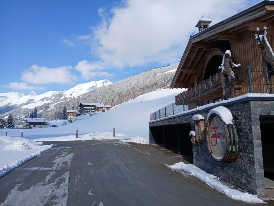 Chalet-apartment Fassl-6