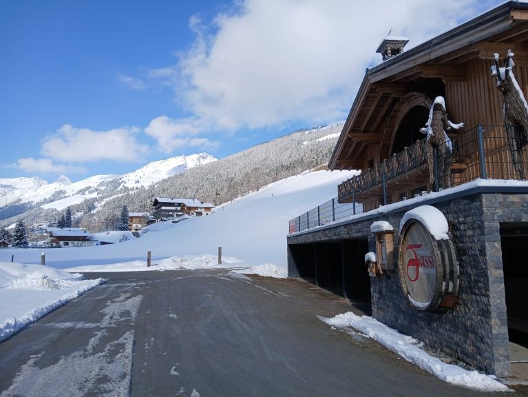 Chalet-apartment Fassl