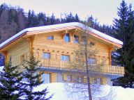 Chalet Charmille with sauna and outside-whirlpool-14