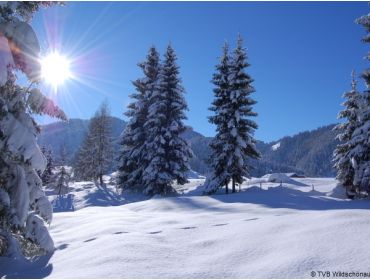 Ski region Ski Juwel Alpbachtal Wildschönau-2