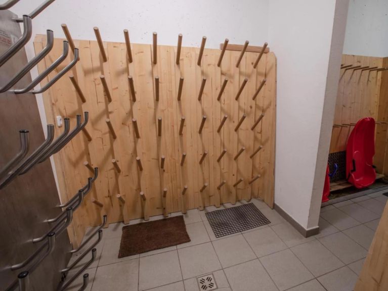 Chalet-apartment Bärlerhof Top 40