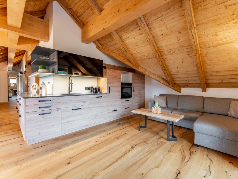 Apartment AlmApART 8-3 / Penthouse