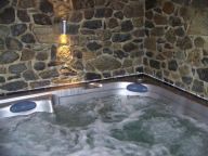 Chalet Leslie Alpen with sauna and whirlpool bath-3