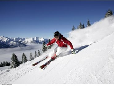 Ski village Quiet winter-sport village, connecteded to Saalbach Hinterglemm-7