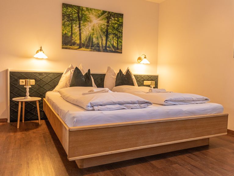 Apartment Tevini Schmittenblick