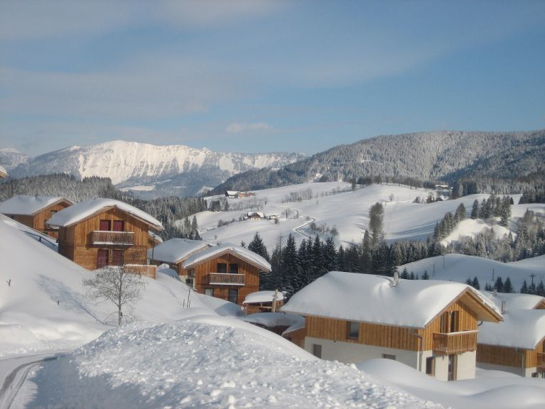 Alpendorf Dachstein-West Gamsblume
