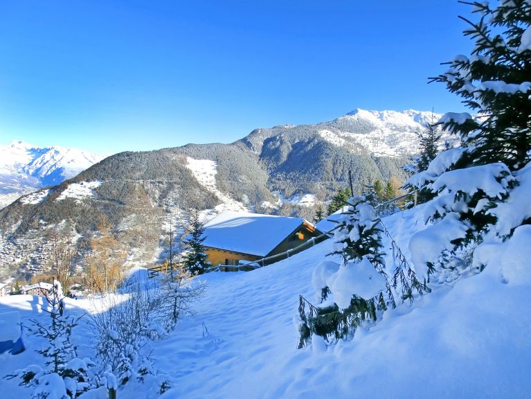 Chalet Quatre Vallées with private sauna