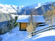 Chalet Quatre Vallées with private sauna-22