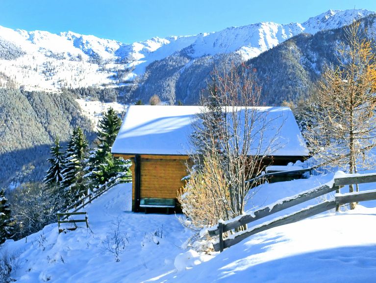 Chalet Quatre Vallées with private sauna