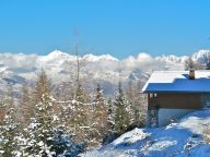 Chalet De Vallandry Le Chamois-16