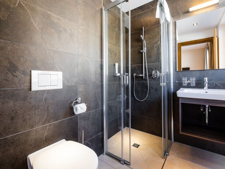 Chalet-apartment Wildkogelresorts Type IVa