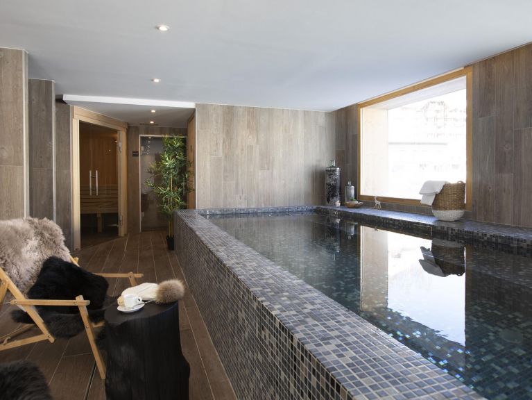 Apartment Neige et Soleil with cabin