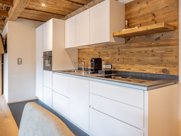 Chalet-apartment Alps Zillertal