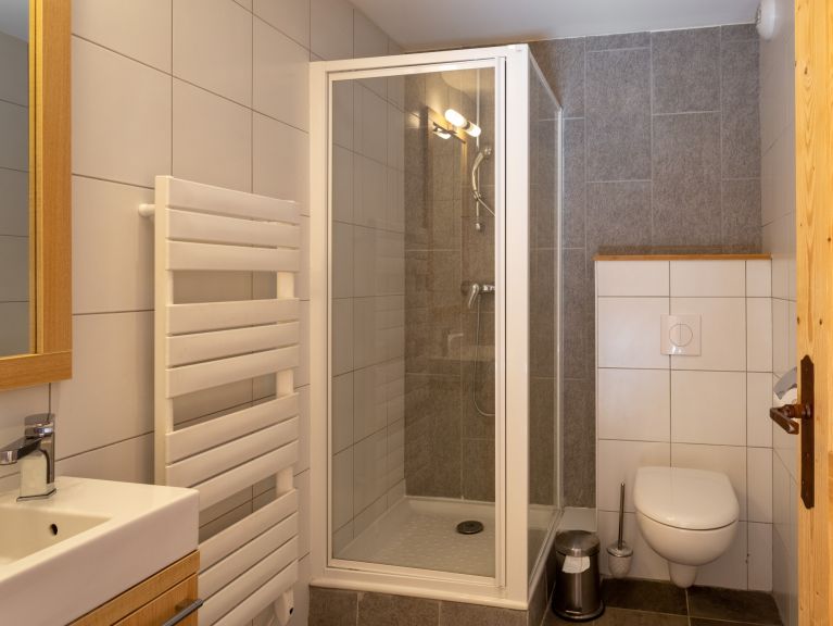 Chalet-apartment Les Portes du Grand Massif