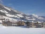 Chalet-apartment Wildkogelresorts Penthouse Type V-30