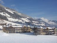 Chalet-apartment Wildkogelresorts Penthouse type IIa-32