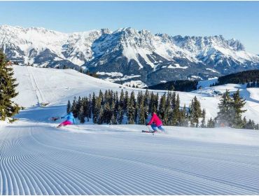 Ski village Child-friendly winter-sport village; perfect for beginners-2