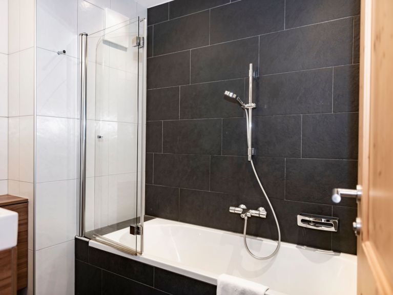 Apartment Residence Zillertal Type C3