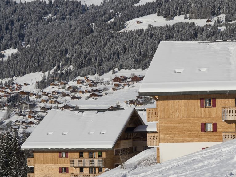 Chalet-apartment Le Grand Lodge
