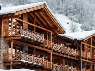 Chalet-apartment Wildkogelresorts Type IIa-4