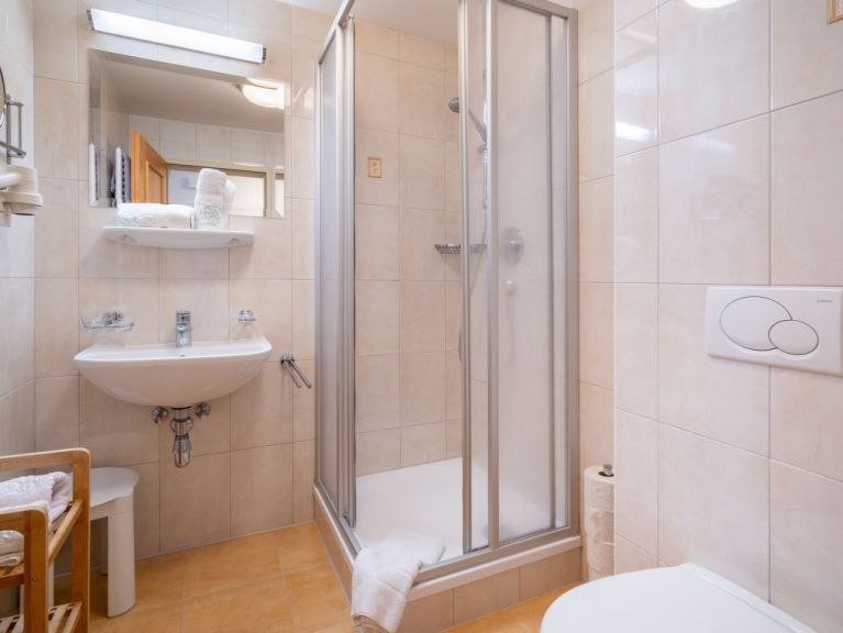 Chalet-apartment Rosa