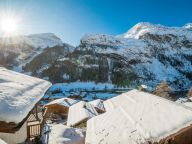 Chalet Whistler with private sauna and outside whirlpool-23