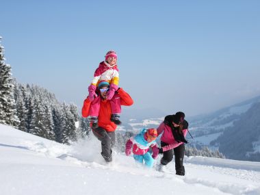 Ski village Mittelberg