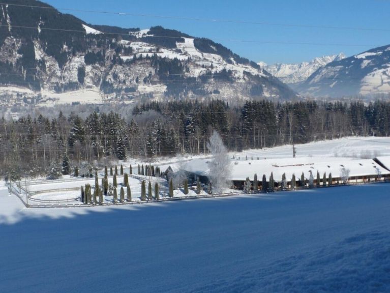 Chalet-apartment Edelweisspitze