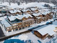 Chalet-apartment Das Neukirchen Type 1a-69