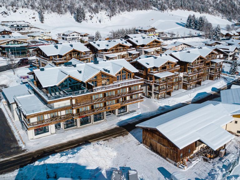 Chalet-apartment Das Neukirchen Type 2b