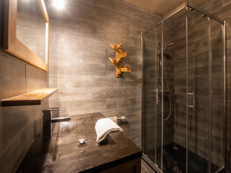 Apartment Les Chalets du Thorens