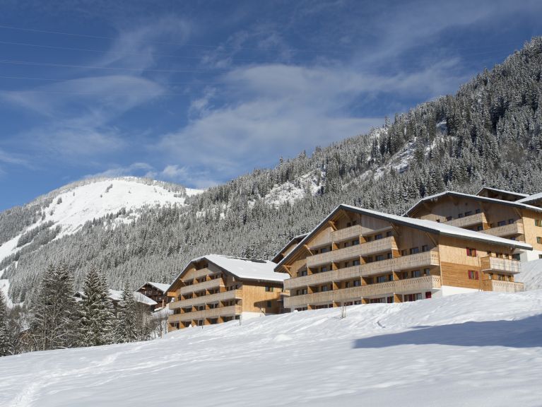 Chalet-apartment Le Grand Lodge