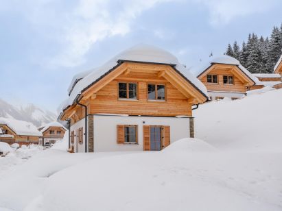 Chalet Riesneralm Alpenjoy Lodge-1