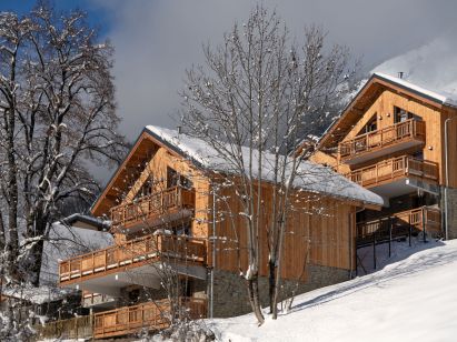 Chalet Harmonie-1