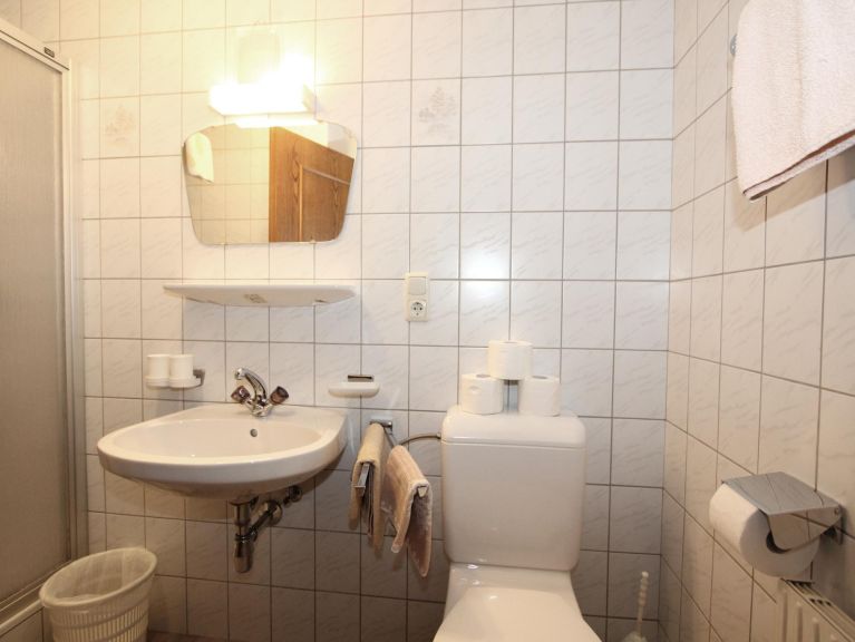 Chalet-apartment Honsnerhof