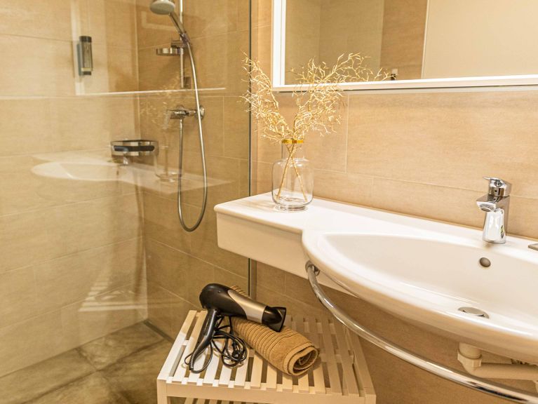 Apartment Tevini Schmittenblick