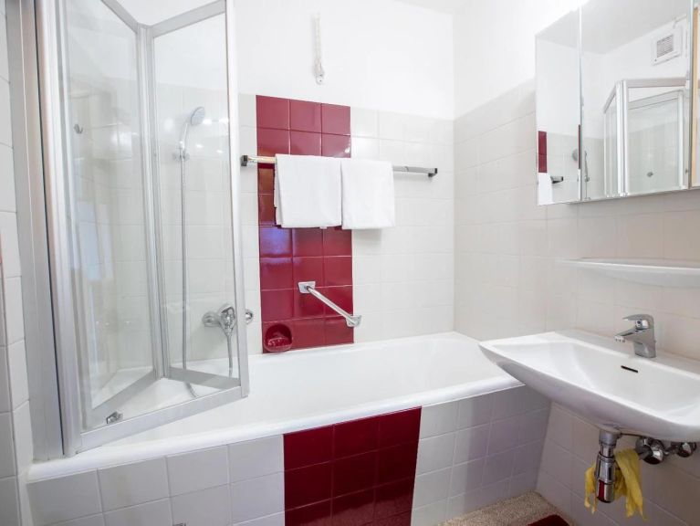 Apartment Steigerbauer Top 26