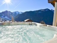 Chalet Les Frasses with private sauna and outdoor whirlpool-3