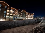 Chalet-apartment Das Neukirchen Type 1a-62