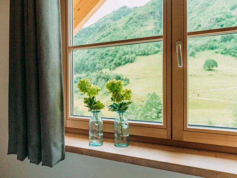 Chalet Riesneralm Lörenzhütte