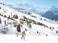 Chalet-apartment Les Alpages de Champagny apartment C22-28