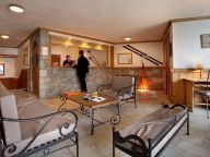 Chalet-apartment Chalet des Neiges - Plein Sud-9