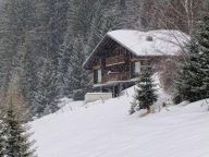 Chalet Chaletneuf du Tenne with private swimming pool, Sunday to Sunday-22