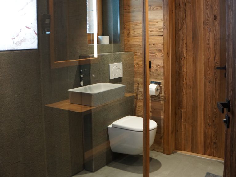 Chalet-apartment Alps Zillertal
