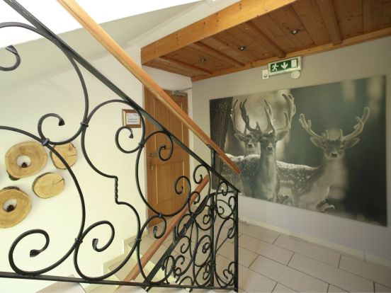 Chalet Edelweiss am See-12