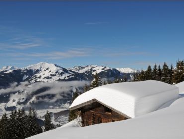 Ski village Charming winter-sport village with plenty of possibilities-4