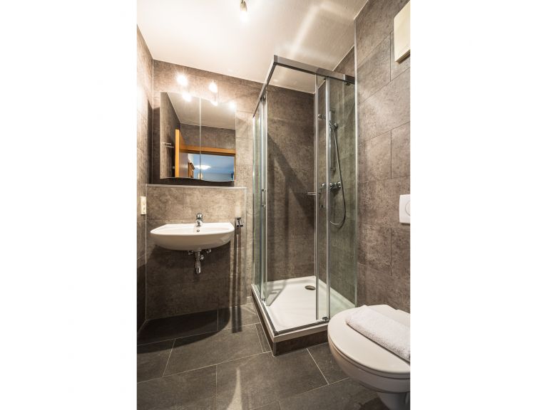 Apartment Wildbachhof combi