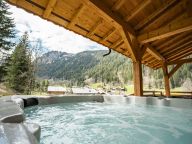 Chalet Le Refuge-3