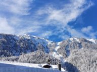 Chalet Coeur du Paradis with sauna-19